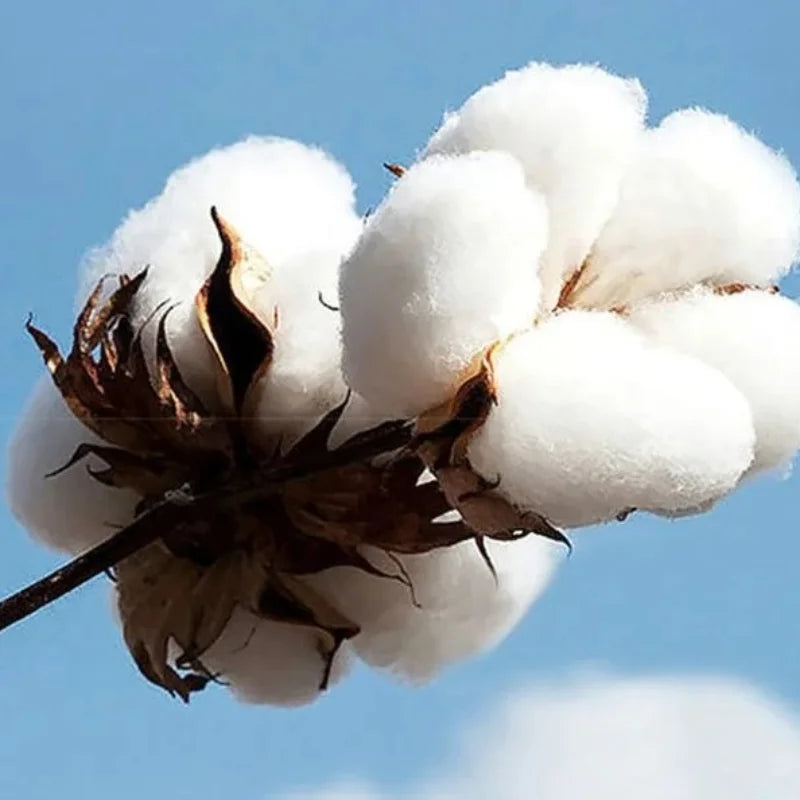 Sudadera Hoodie Demogorgon Hombre – Gruesa Otoño Invierno